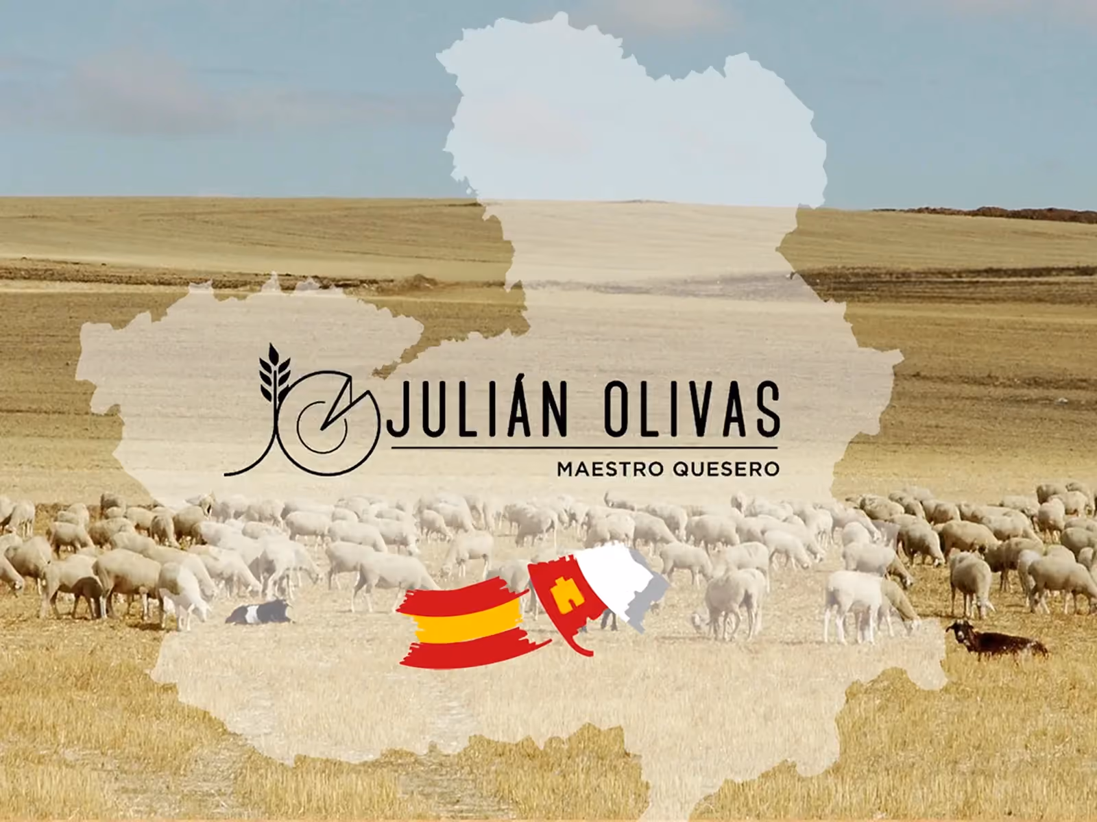 Rebaño de ovejas y marca Quesos Julián Olivas en Santa Ana