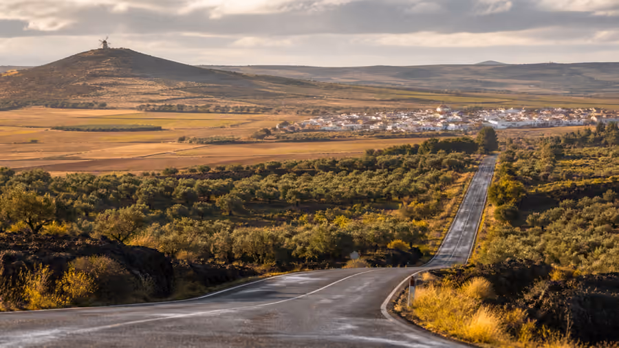 Recreación editorial de una carretera bajando entre olivares hacia un pueblo manchego, con un molino de viento en el cerro