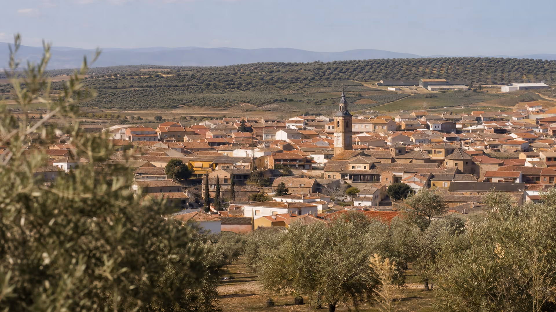 Recreación editorial de un pueblo toledano visto entre olivos, con la torre de la iglesia sobresaliendo de los tejados