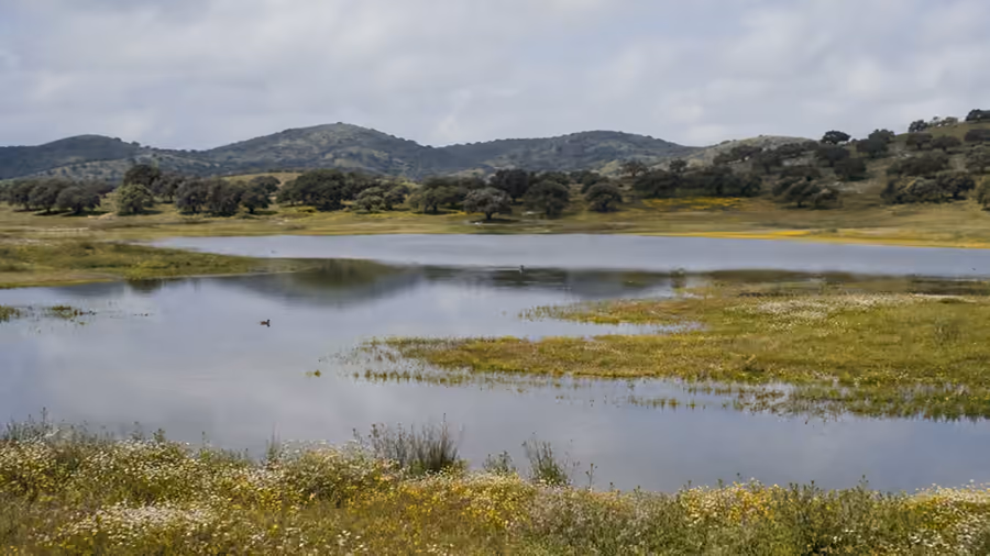 Recreación visual de la Reserva Natural de Las Navas de Malagón, Ciudad Real.