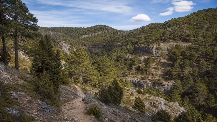 Recreación visual de Pinares del Alto Tajo en Ablanque, Guadalajara.