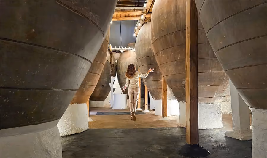 Torres Filoso – Bodega Familiar Ecológica de Tinajas en Villarrobledo