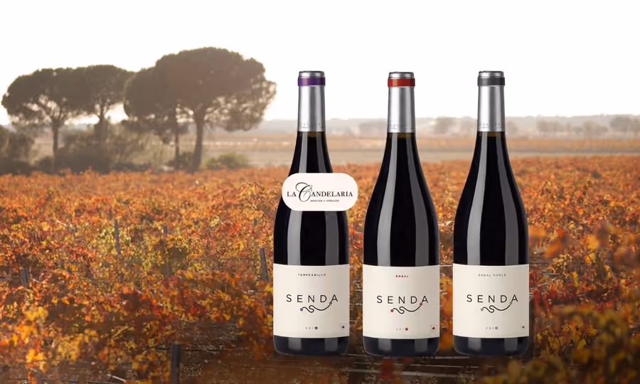 Bodega La Candelaria en Casas de los Pinos