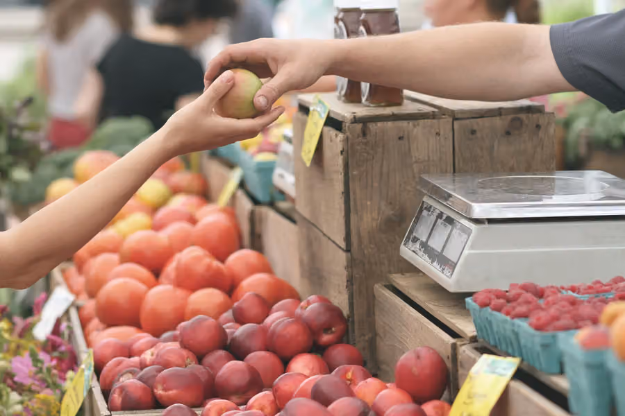 Venta directa del agricultor al consumidor: requisitos y cómo empezar