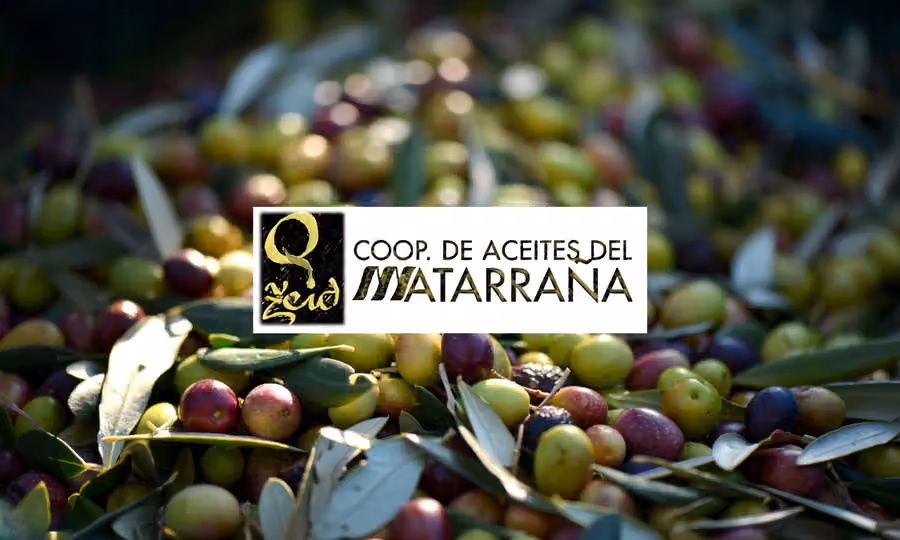 Cooperativa de Aceites del Matarraña en Calaceite
