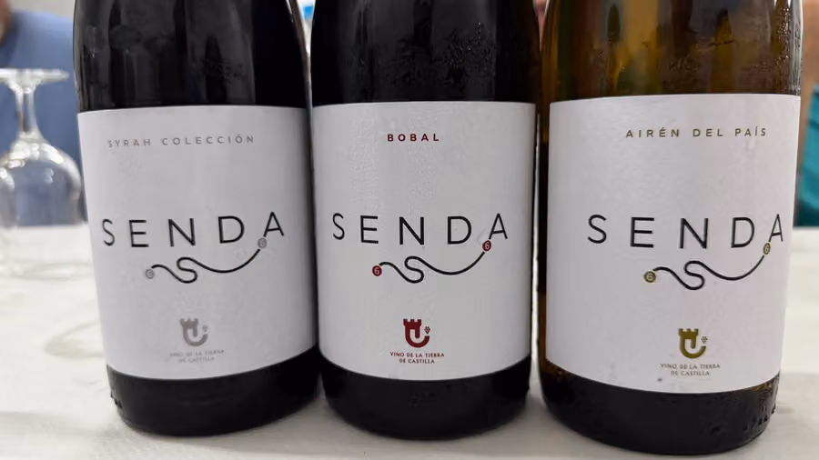 Bodega La Candelaria en Casas de los Pinos