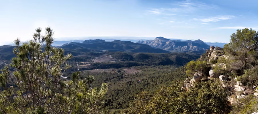 Panorámica real del valle de Xorret de Catí, con pinares, campos y crestas rocosas