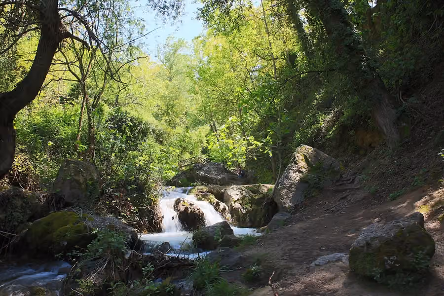 Agua, rocas y vegetación junto al sendero del río Cerezuelo en Cazorla