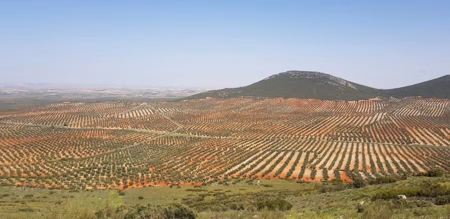 Vista de Mora, Toledo