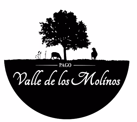 Pago Valle de los Molinos en Los Yébenes
