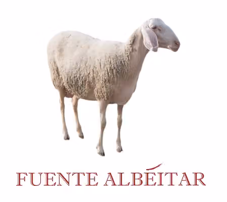 Quesos Fuente Albeitar en Almonacid de Toledo